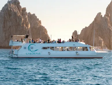 Whale Watching Experience